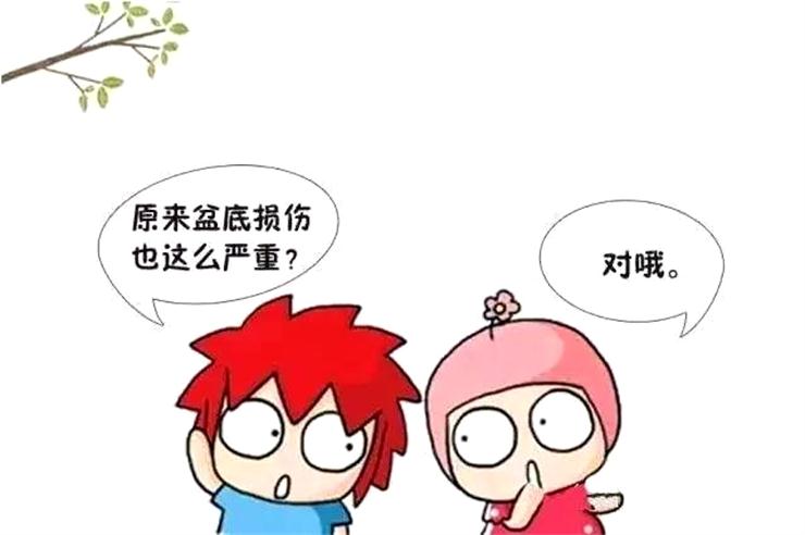 為何剖腹產也要做盆底康復？