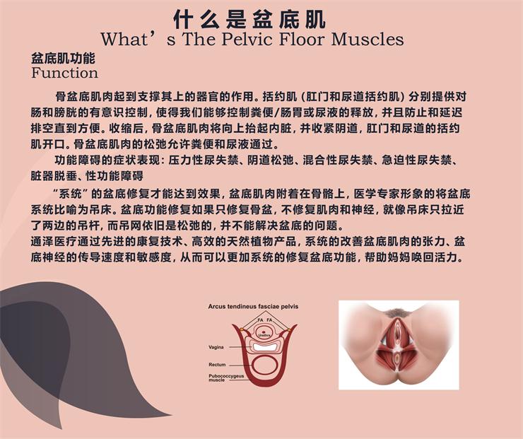 盆底肌修復儀器，能用于骨盆修復嗎？
