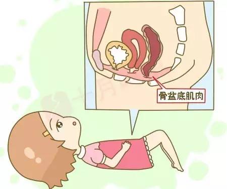 盆底康復治療有用嗎？為什么要做盆底肌修復？