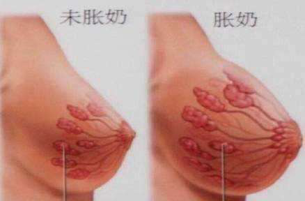 母乳分析和檢測儀器，教你如何緩解漲奶？