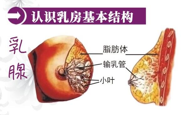 很多產后修復中心不知道生物反饋治療儀是什么？