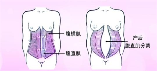 產后修復中心小型變大型，母乳分析儀器是專業性的體現