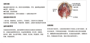 產后恢復中心加盟，做月子不再是一蹴而就