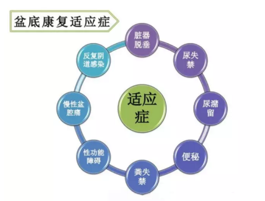 都在想盆底康復治療儀品牌，為何別人看的是盆底康復治療儀的功效與作用