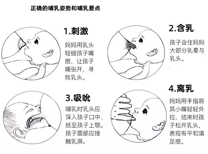 母乳檢測因人而異，但母乳分析儀產后修復中心必須具備