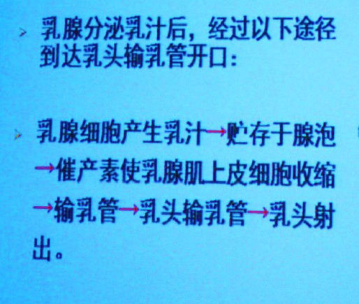 影響泌乳的因素有哪些，母乳喂養得了解