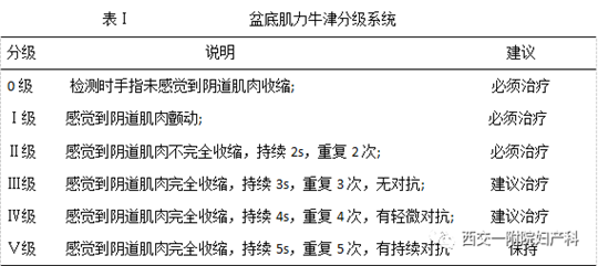 產后盆底肌怎么修復，你的盆底肌肌力有幾級知道嗎？