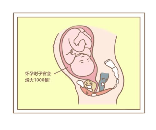 產后肥胖能用盆底肌修復儀器治療嗎？