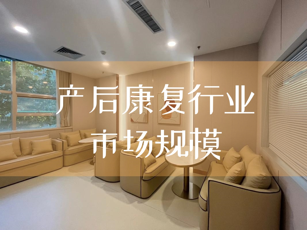 產后康復服務多元化對市場規模擴大的推動作用